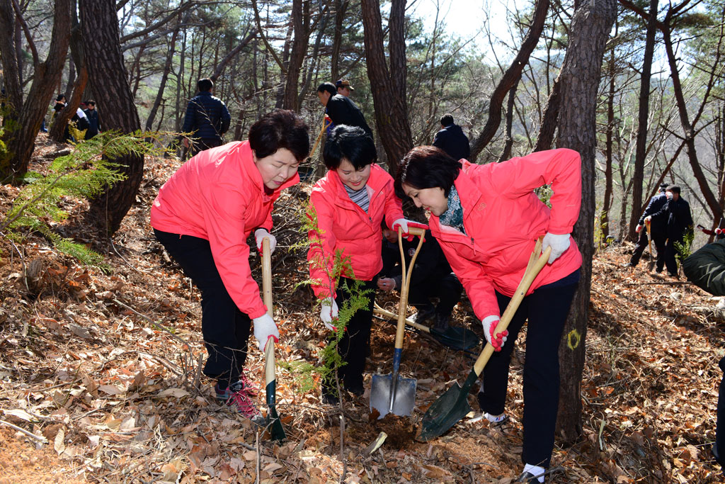 식목일 기념 나무심기 행사(1)
